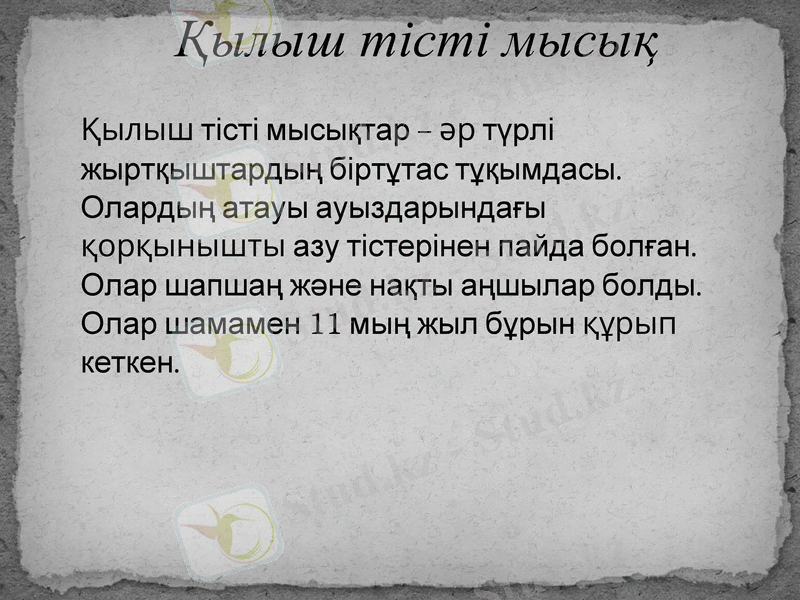 Slide 11