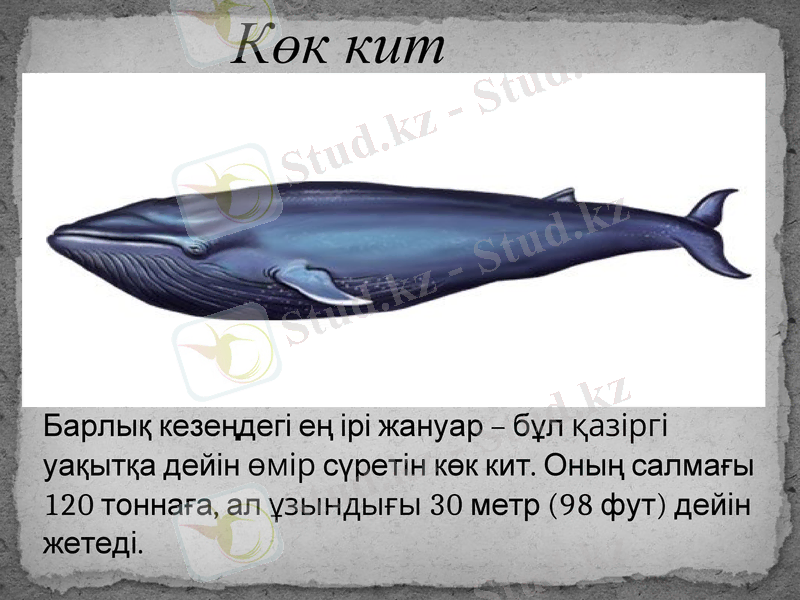 Slide 15