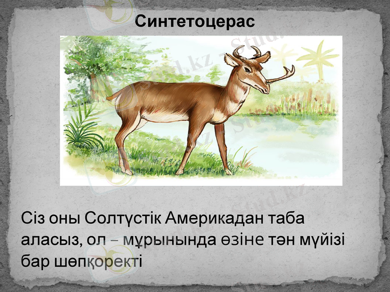 Slide 2