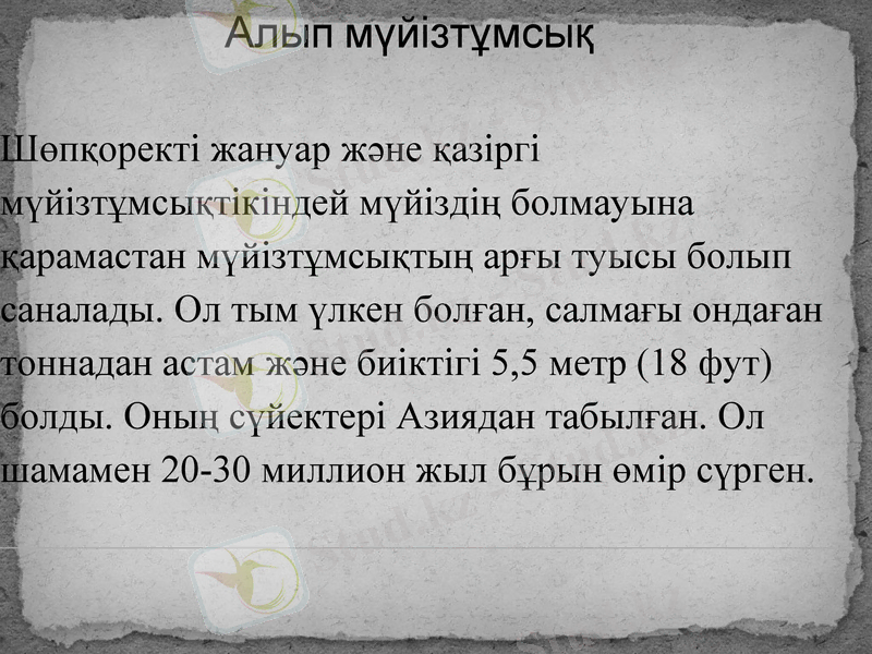 Slide 3