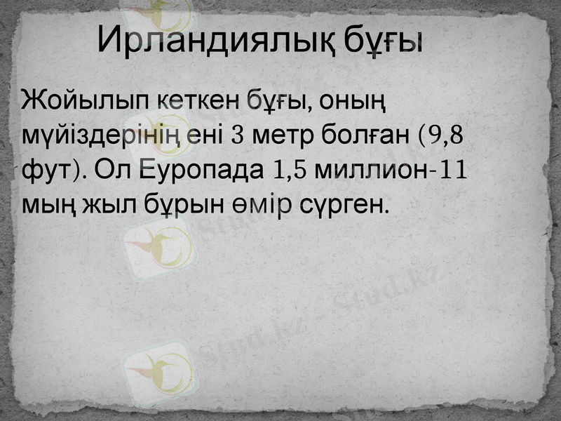 Slide 5
