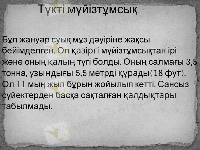 Slide 7