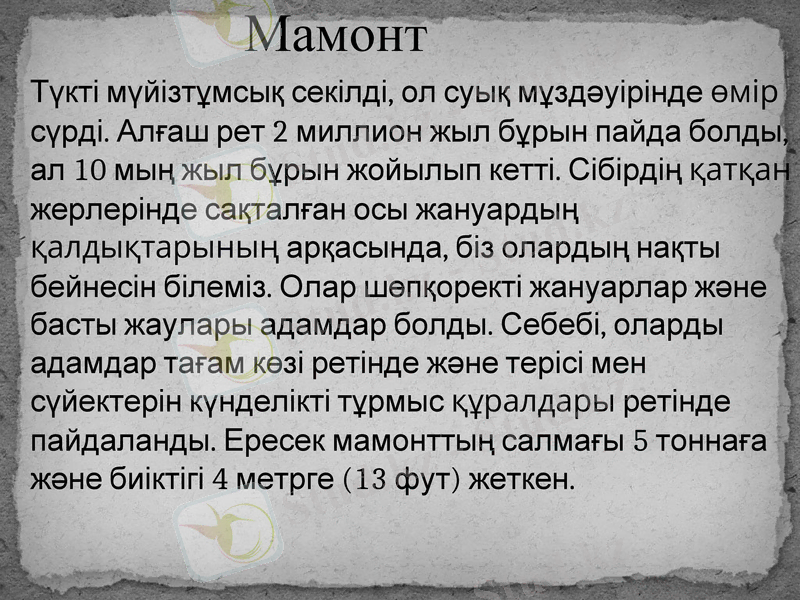 Slide 9