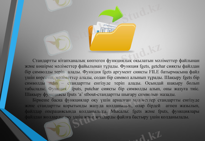 Slide 5