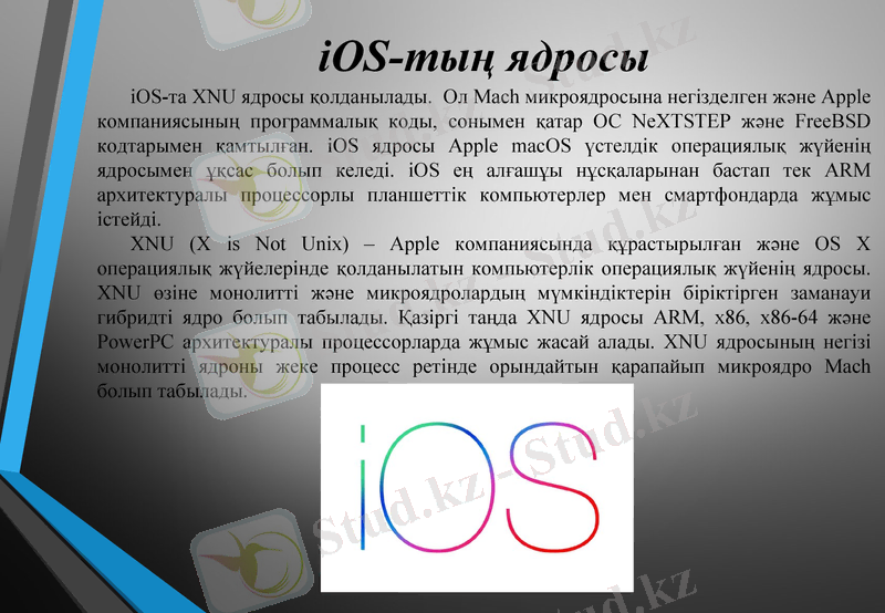 Slide 7