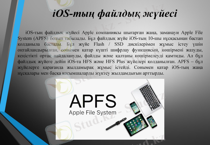 Slide 8