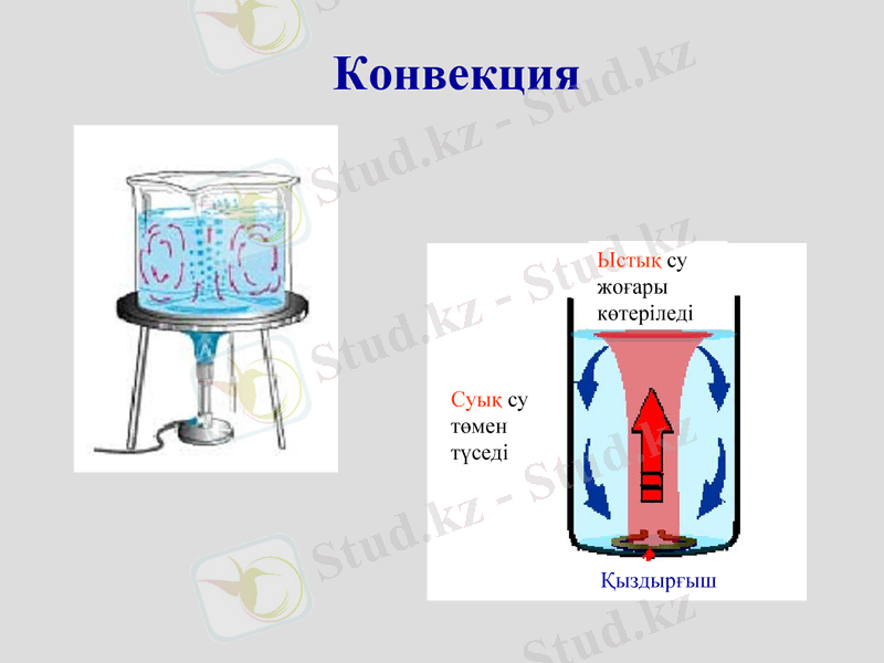 Slide 10
