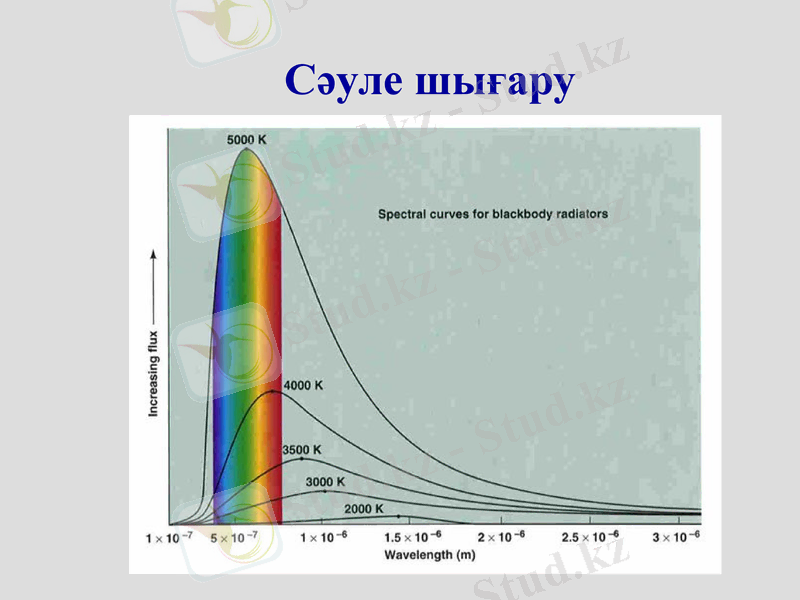 Slide 11