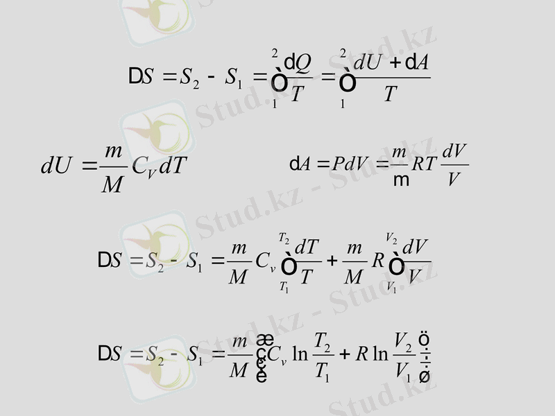 Slide 24