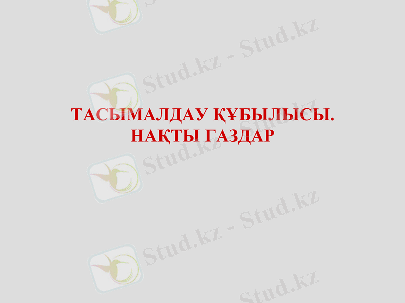 Slide 31