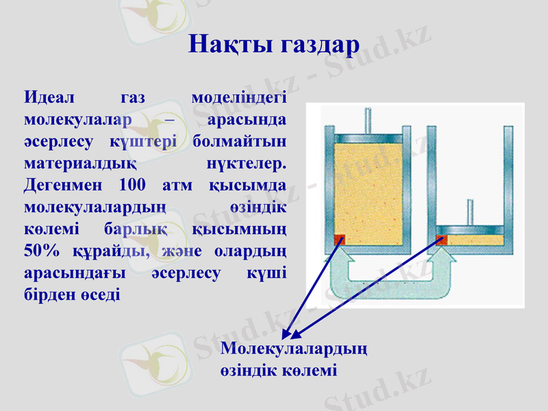 Slide 45