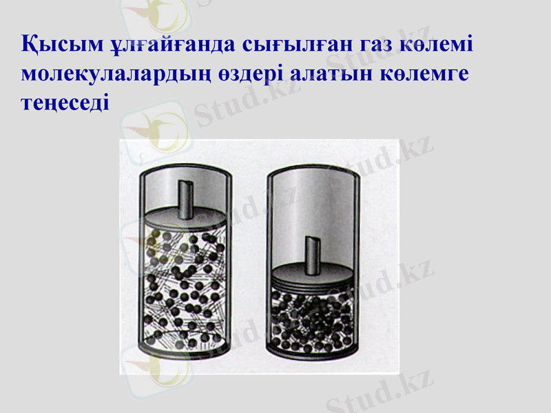 Slide 46