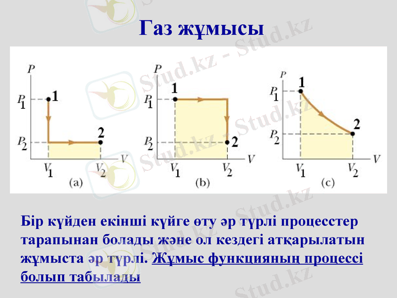 Slide 7