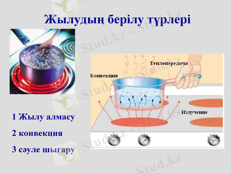Slide 8