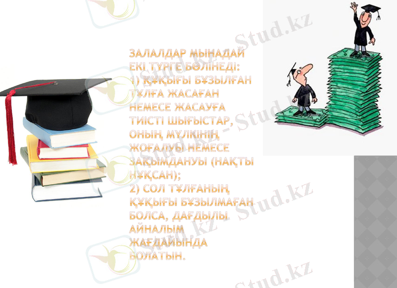 Slide 11