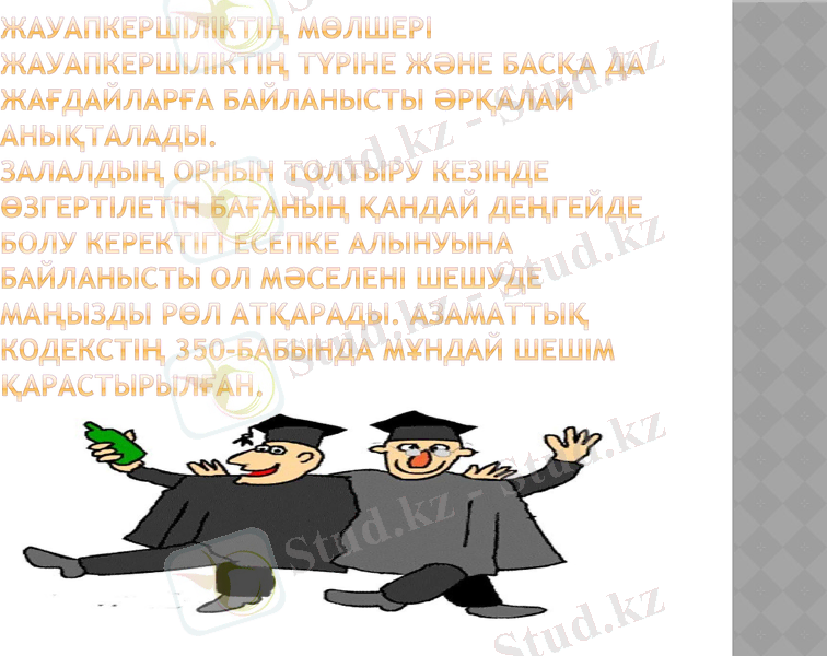 Slide 12