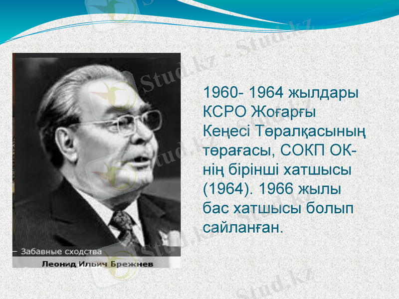 Slide 8