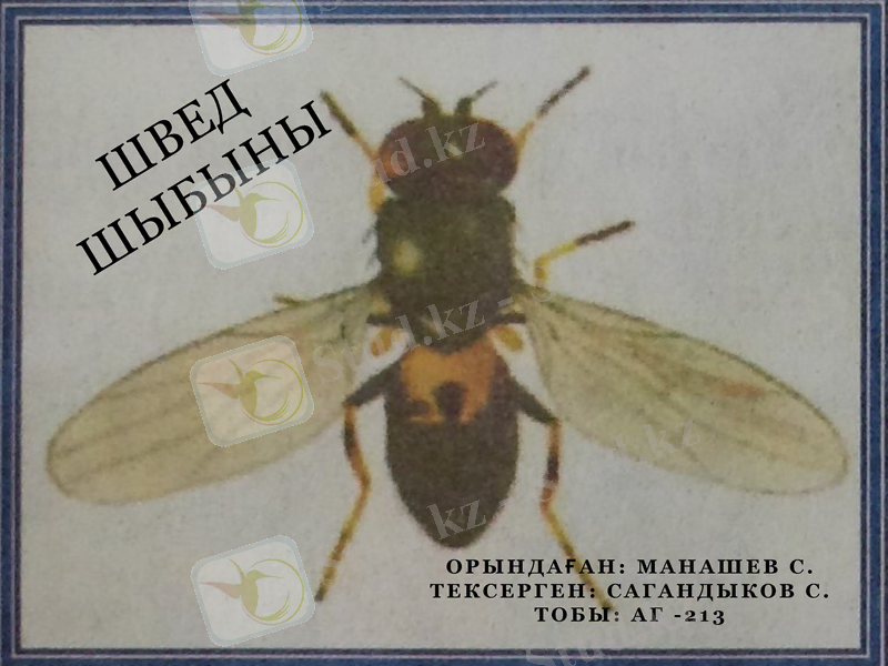 Slide 1