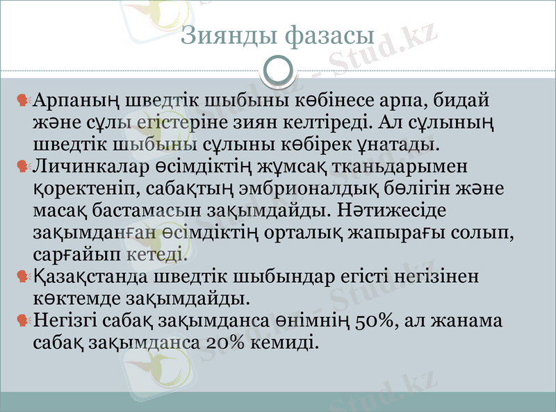 Slide 6