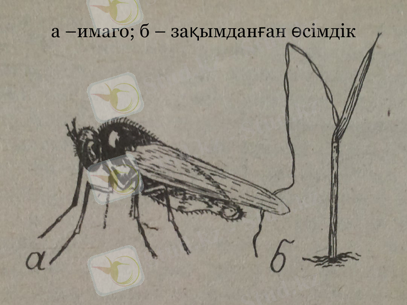 Slide 7