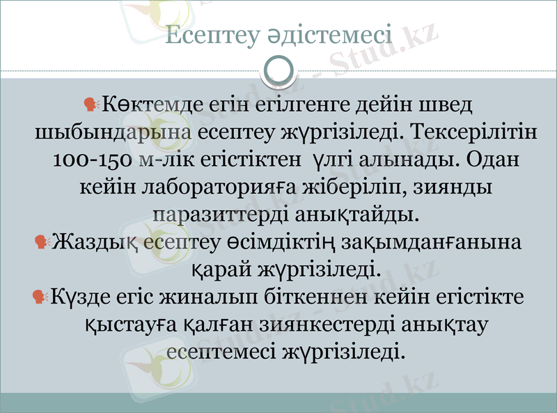 Slide 8