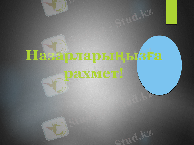 Slide 9