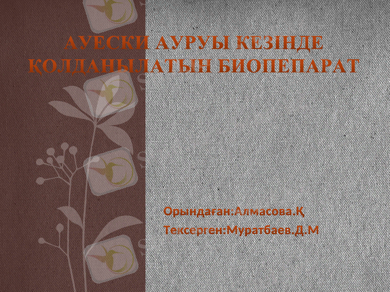 Slide 1