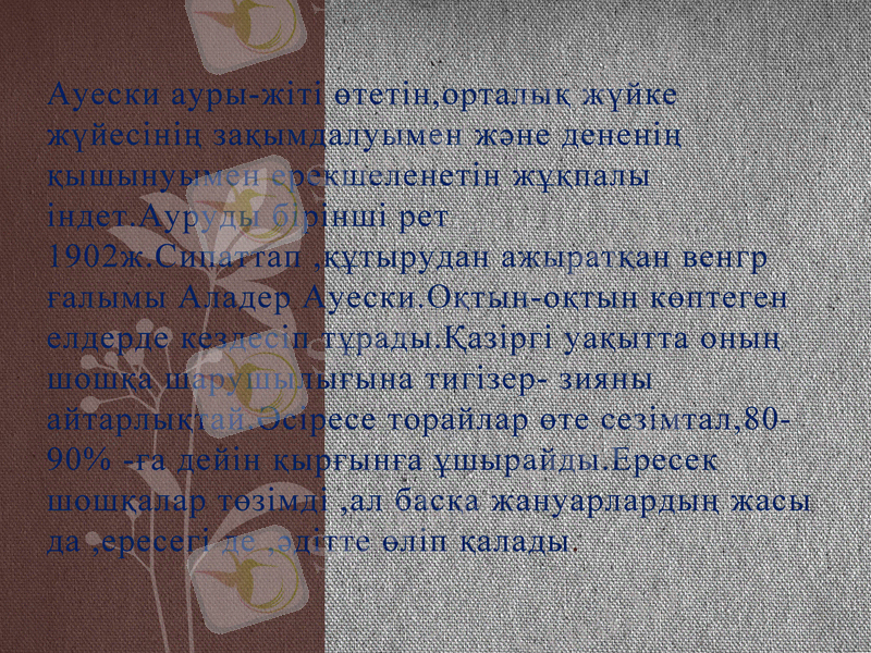 Slide 2