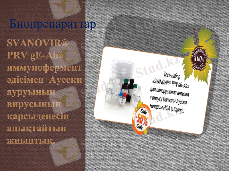 Slide 5