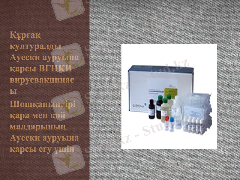Slide 6
