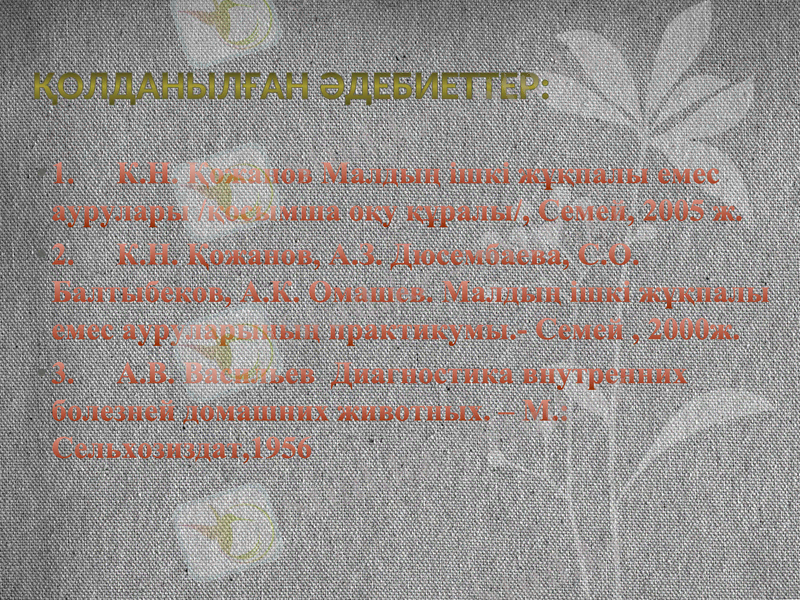 Slide 8