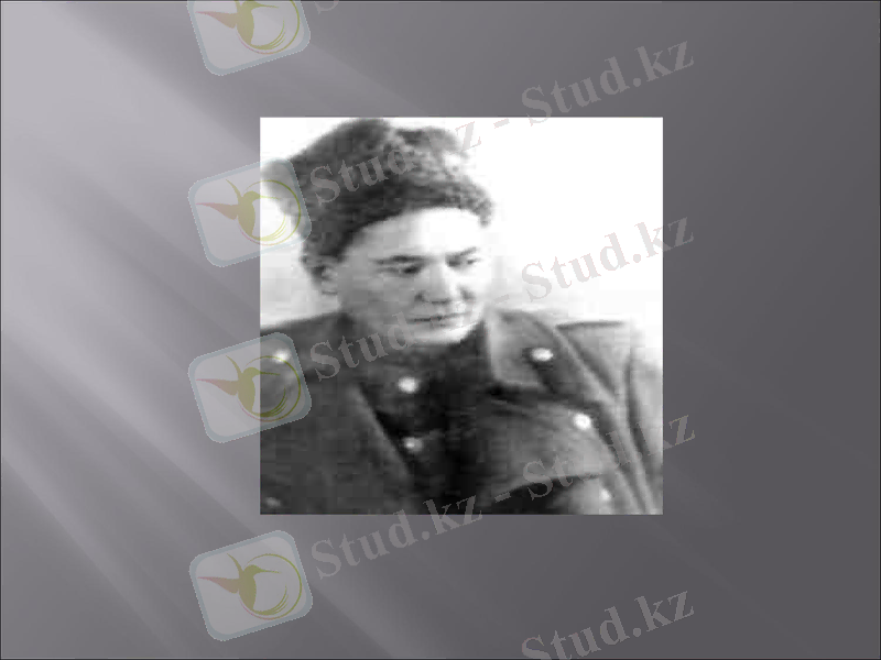 Slide 12
