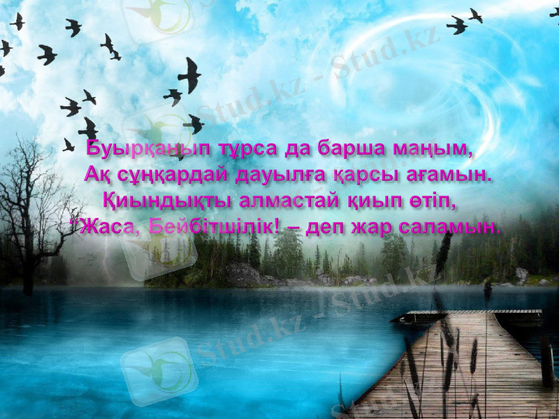 Slide 13