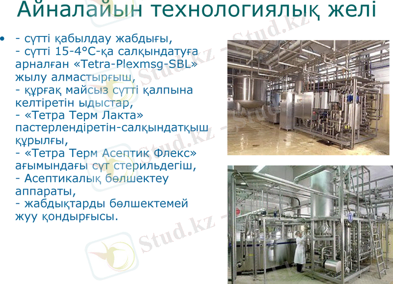 Slide 11