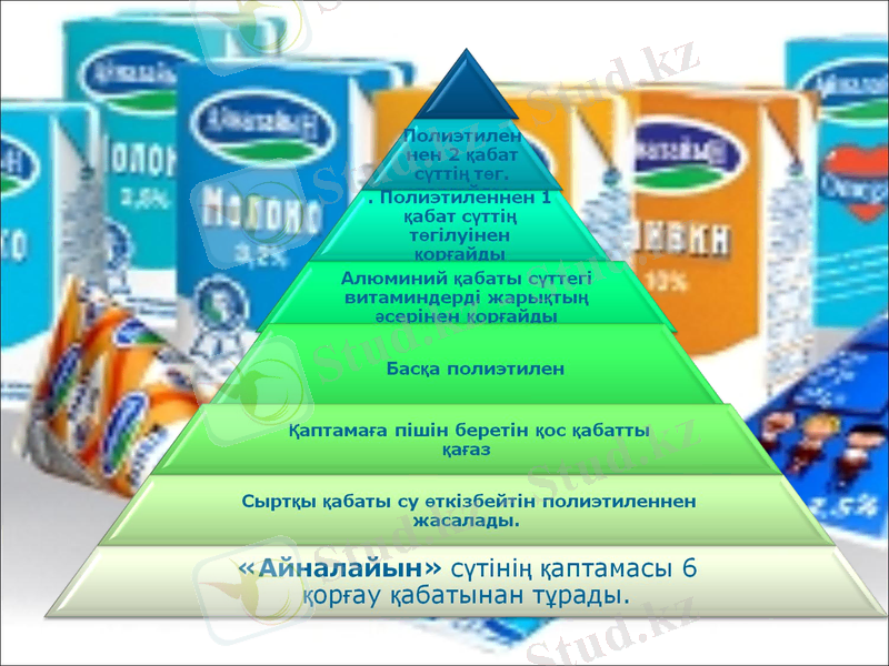 Slide 12