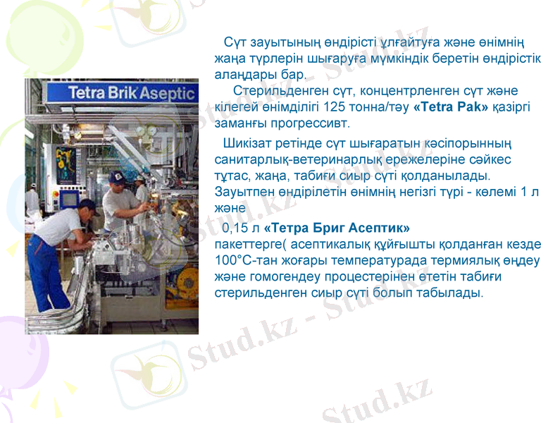 Slide 8