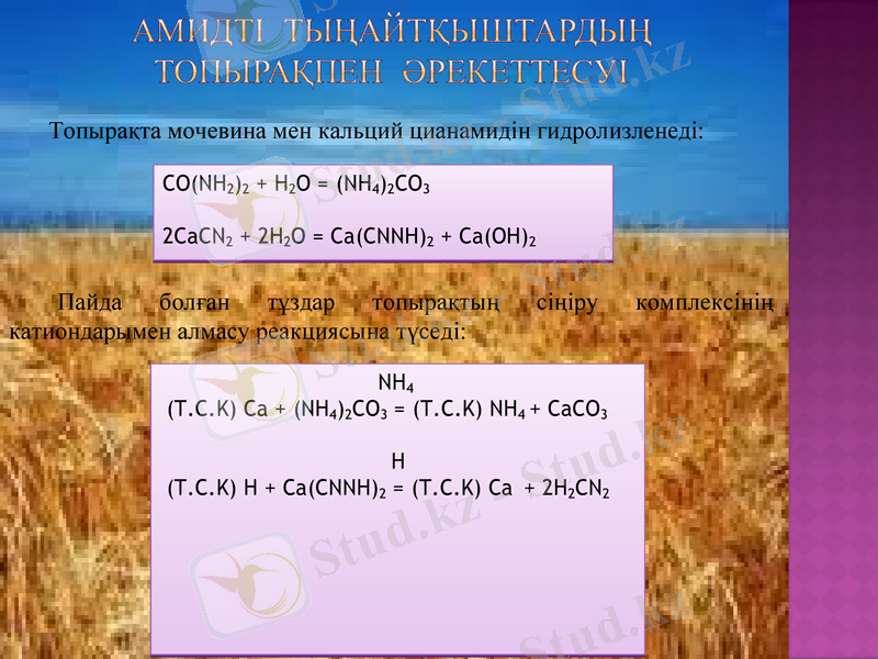 Slide 11