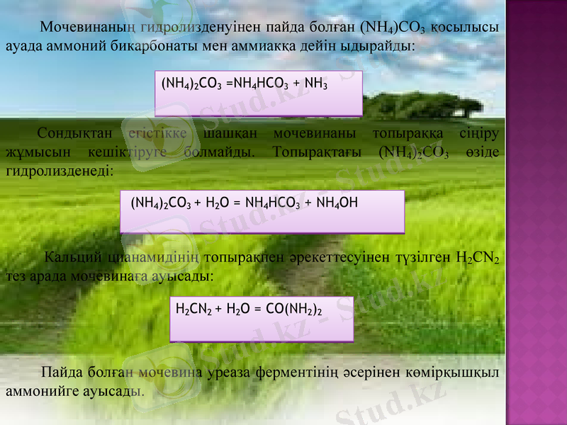 Slide 12