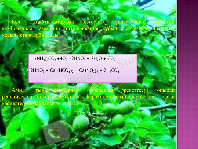 Slide 13