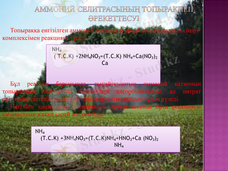 Slide 7