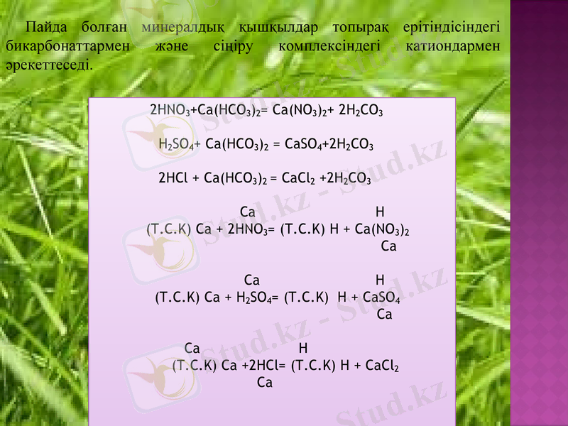 Slide 9