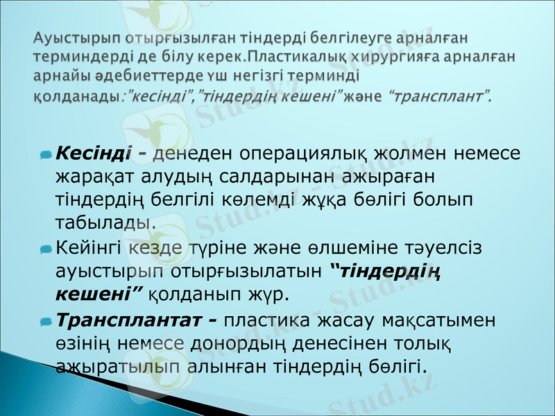 Slide 10