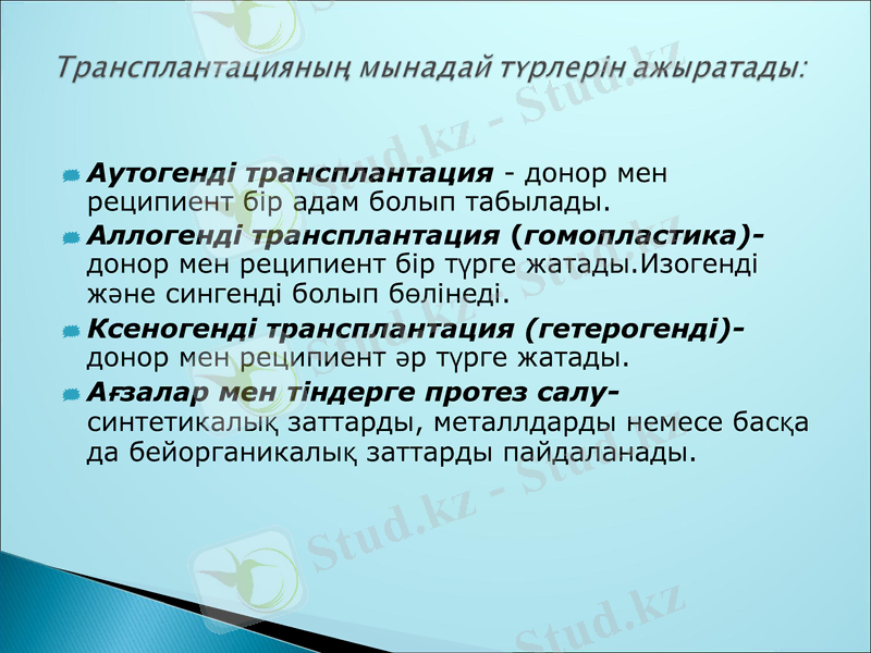 Slide 11