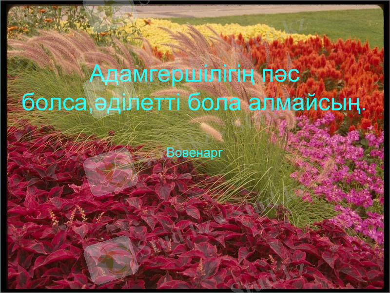 Slide 5