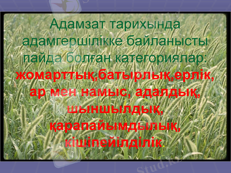 Slide 6