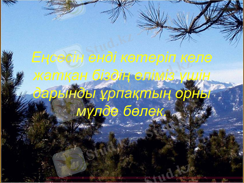Slide 7