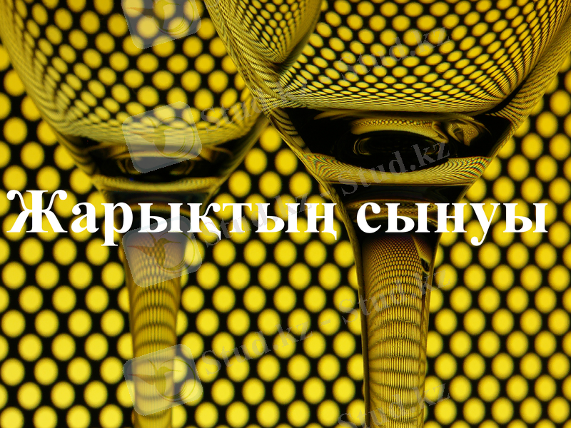 Slide 12