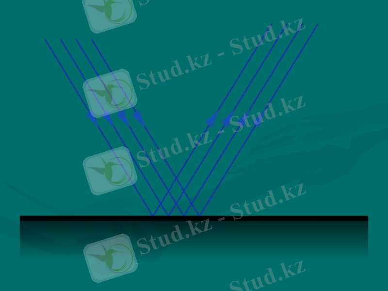 Slide 15