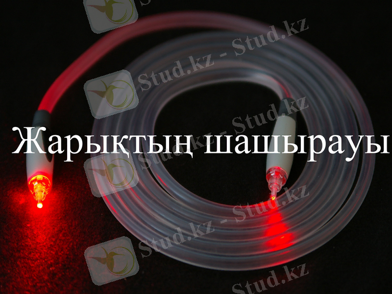 Slide 16