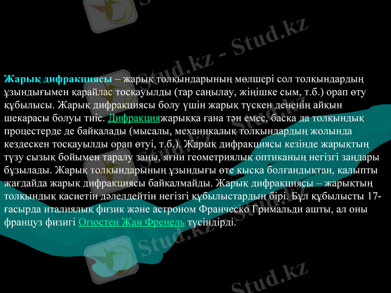 Slide 5